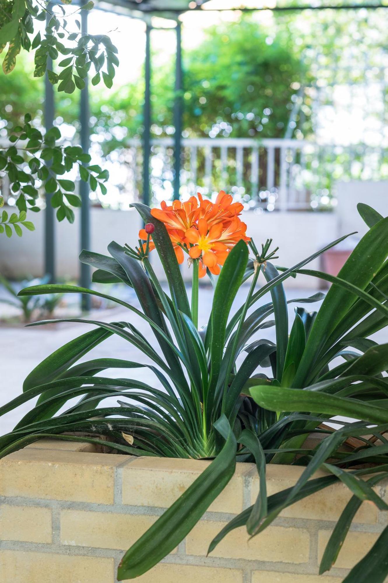 Glyfada'S Cosy Apartments Ateny Zewnętrze zdjęcie