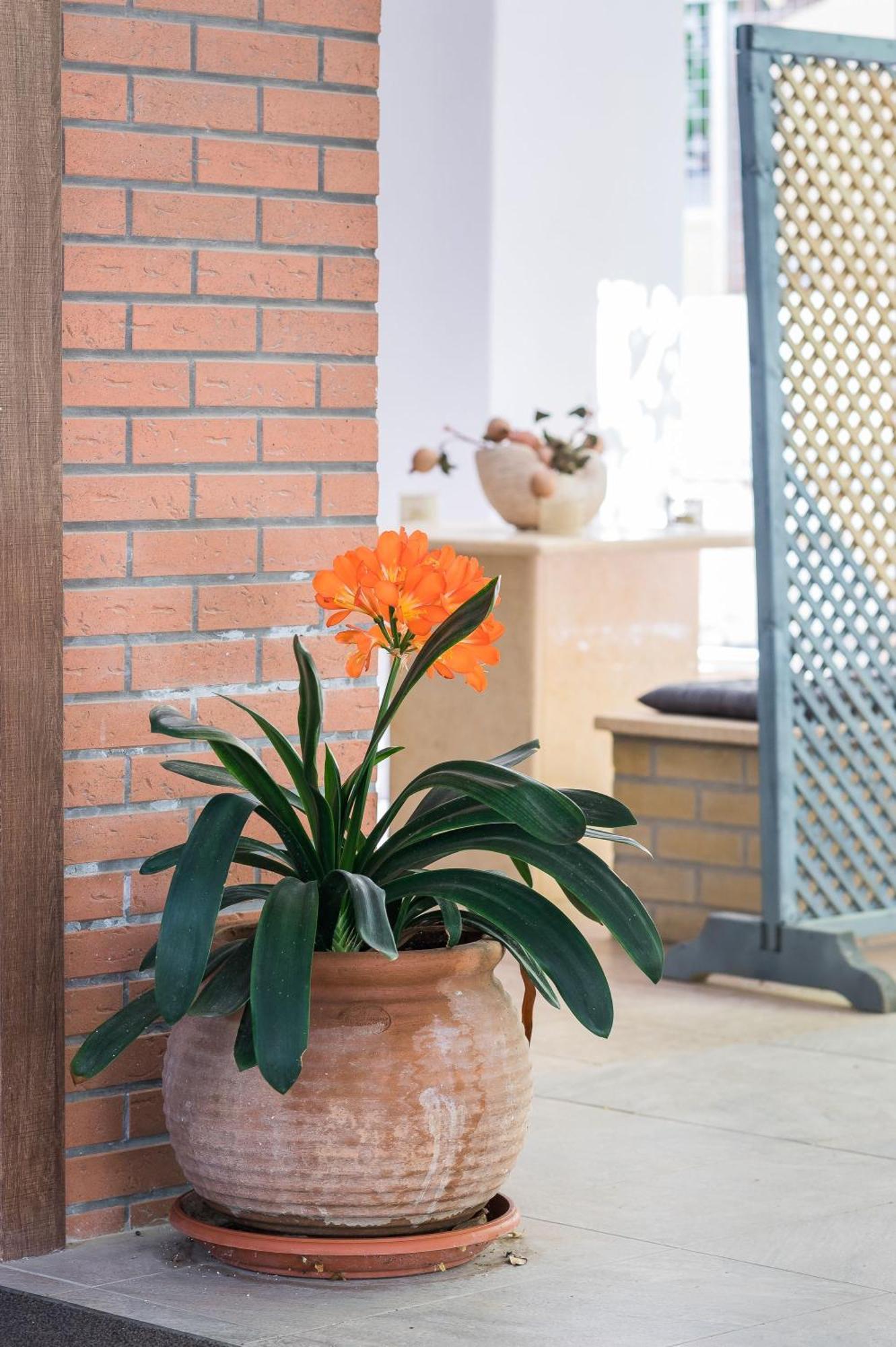 Glyfada'S Cosy Apartments Ateny Zewnętrze zdjęcie